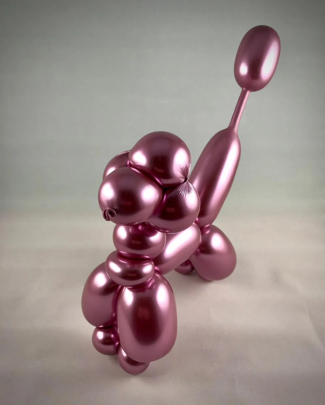 Shiny Pink Balloon Poodle